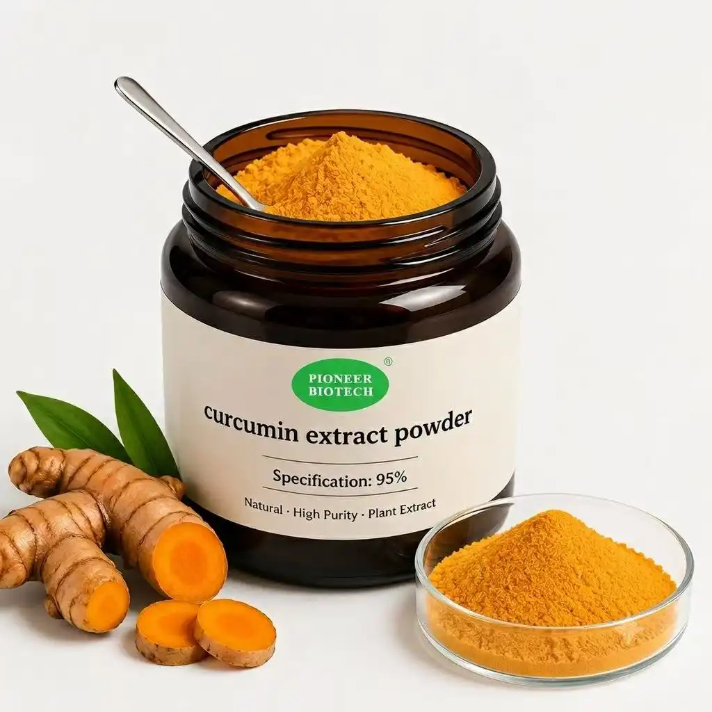 What Are the Benefits of Curcumin Extract? Complete Guide by Pioneer Biotech